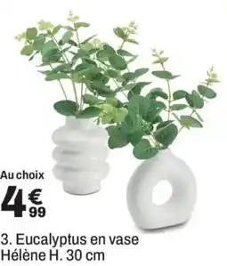 BUT Eucalyptus en vase Hélène offre