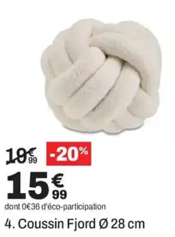 BUT Coussin Fjord offre