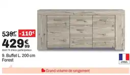 BUT Buffet Forest offre