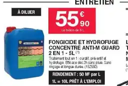 Chretien Matériaux Fongicide et hydrofuge concentré anti-m guard 2 en 1 offre