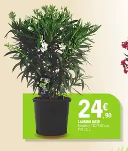 E.Leclerc Laurier rose offre