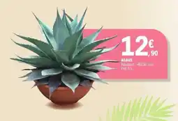 E.Leclerc Agave offre