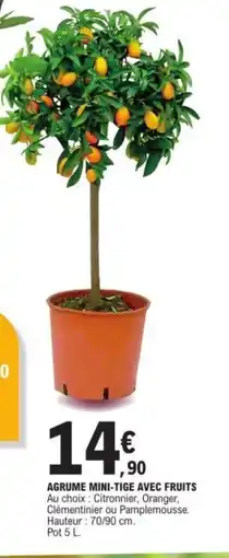 E.Leclerc Agrume mini-tige avec fruits offre