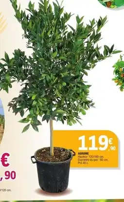 E.Leclerc Agrume offre