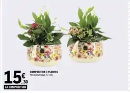 E.Leclerc Composition 3 plantes offre