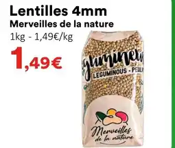 Hmarket MERVEILLES DE LA NATURE Lentilles 4mm offre