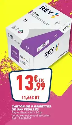 Bureau Vallée Carton de 5 ramettes de 500 feuilles offre