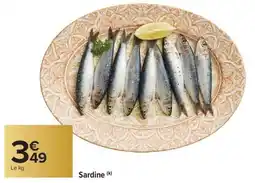 Carrefour Market Sardine offre