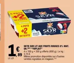 E.Leclerc YOPLAIT Skyr sur lit aux fruits rouges 0% mat. gr offre
