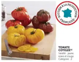 U Express Tomate cotelee offre