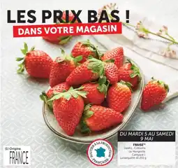 U Express Fraise offre
