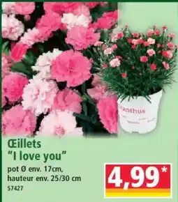 Norma Œillets I love you offre
