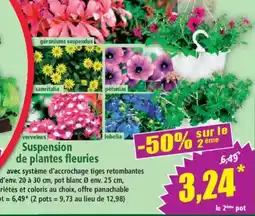 Norma Suspension de plantes fleuries offre
