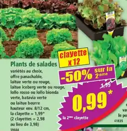 Norma Plants de salades offre