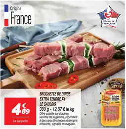 Netto Le Gaulois Brochette de dinde extra tendre x4 offre
