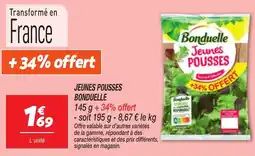 Netto Bonduelle Jeunes pousses offre