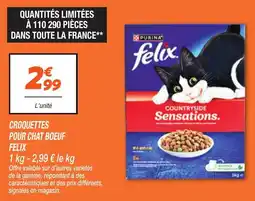 Netto Felix Croquettes pour chat boeuf offre