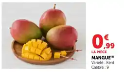 Bi1 Mangue offre