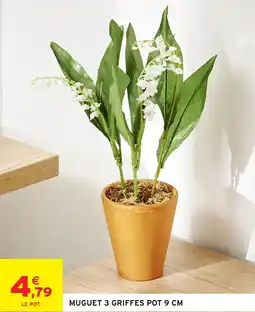 Intermarché Express Muguet 3 griffes pot offre