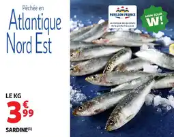 Auchan Supermarché Sardine offre