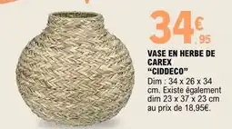 E.Leclerc VASE EN HERBE DE CAREX CIDDECO offre