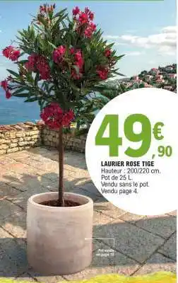 E.Leclerc LAURIER ROSE TIGE offre