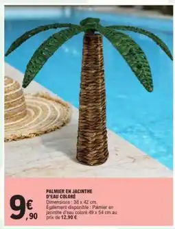 E.Leclerc PALMIER EN JACINTHE D'EAU COLORE offre