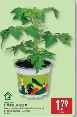 ALDI PLANT DE LÉGUMES offre