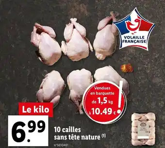 Lidl 10 Cailles sans tête nature offre