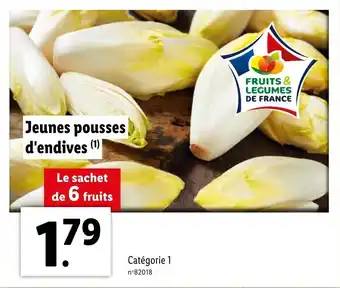 Lidl Jeunes pousses d'endives offre