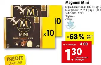 Magnum mini