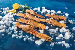 Auchan Sans marque langoustines cuites offre
