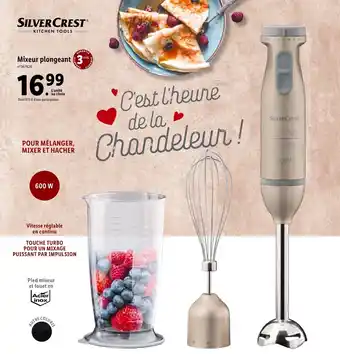Lidl Mixeur plongeant offre