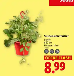 Lidl Suspension fraisier offre