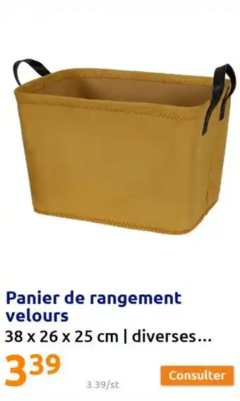 Action Panier de rangement velours offre