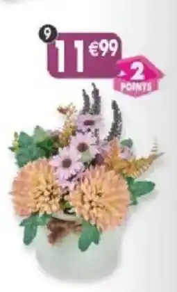 Maximo Pot de roses, marguerites et pomponnettes offre