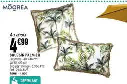 La Foir'Fouille Coussin palmier offre