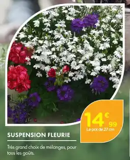 Point Vert Suspension fleurie offre