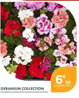 Point Vert Geranium collection offre