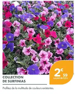 Point Vert Collection de surfinia offre