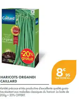 Point Vert Caillard haricots organdi offre