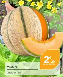 Point Vert Melon offre