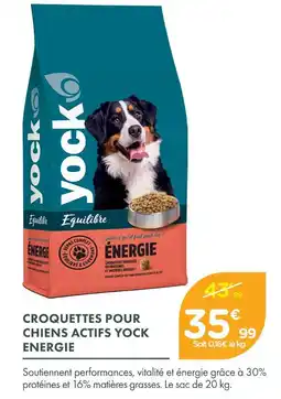Point Vert Yock croquettes pour chiens actifs énergie offre