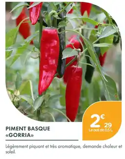 Point Vert Piment basque gorria offre