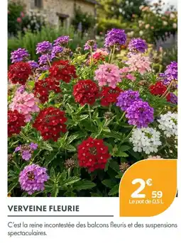 Point Vert Verveine fleurie offre