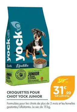 Point Vert Yock junior croquettes pour chiot offre