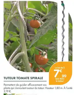 Point Vert Tuteur tomate spirale offre