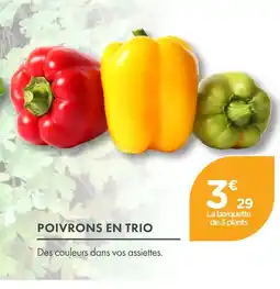 Point Vert Poivrons en trio offre