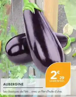 Point Vert Aubergine offre