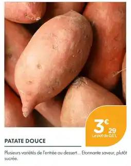 Point Vert Patate douce offre